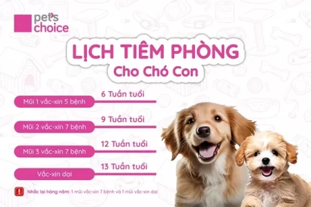 Lịch tiêm phòng cho chó con